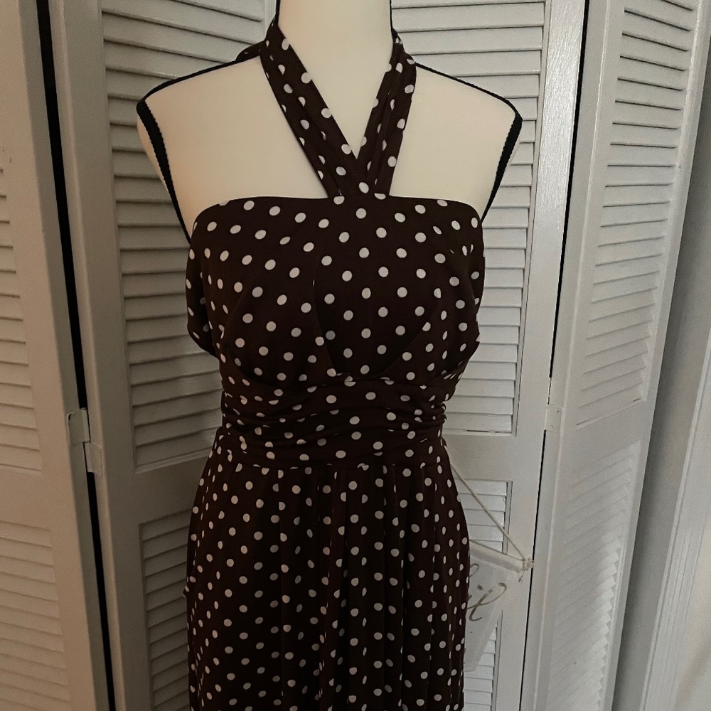 Plus size 2x . Polka dot maxi dress